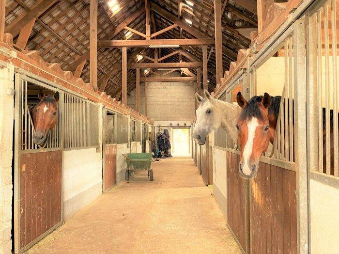 Proprietà equestre In vendita Seine-et-Marne