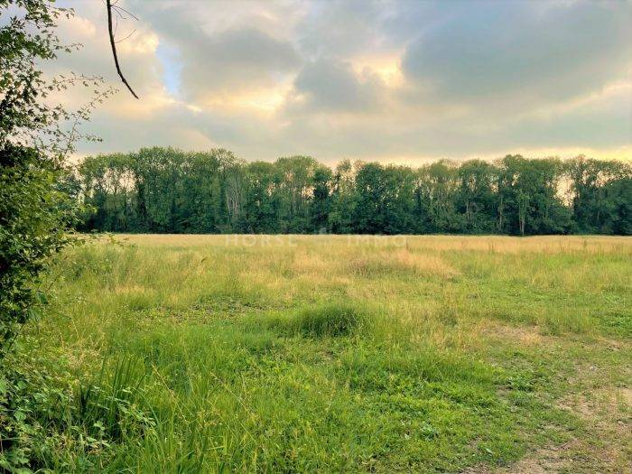 Proprietà equestre In vendita Seine-et-Marne