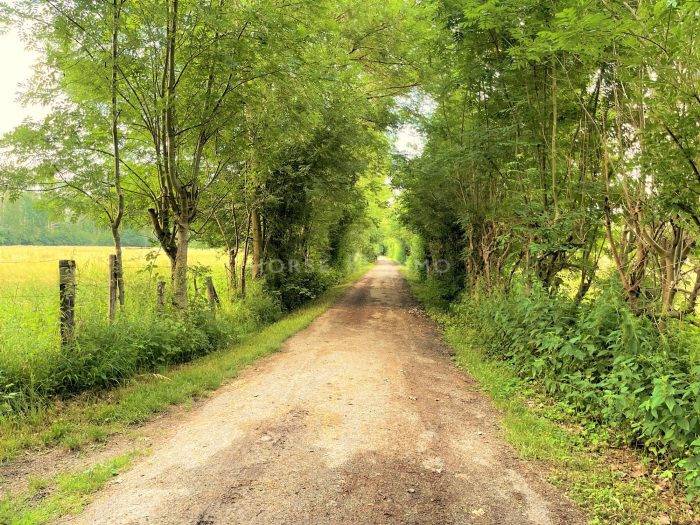 Proprietà equestre In vendita Seine-et-Marne