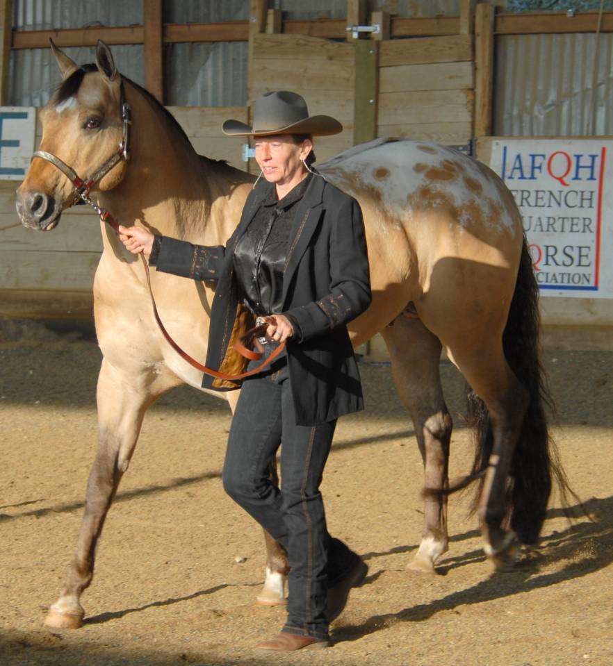 Puledra Appaloosa In vendita 2021 Dun ,  BOGIE PLATED JAC