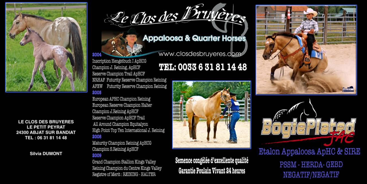 Puledro Appaloosa In vendita 2020 Palomino ,  BOGIEPLATED JAC (ApHC)