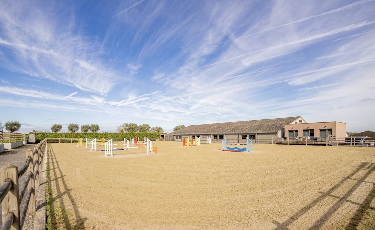 Scuderia per proprietari Noleggio Brabant-Flamand