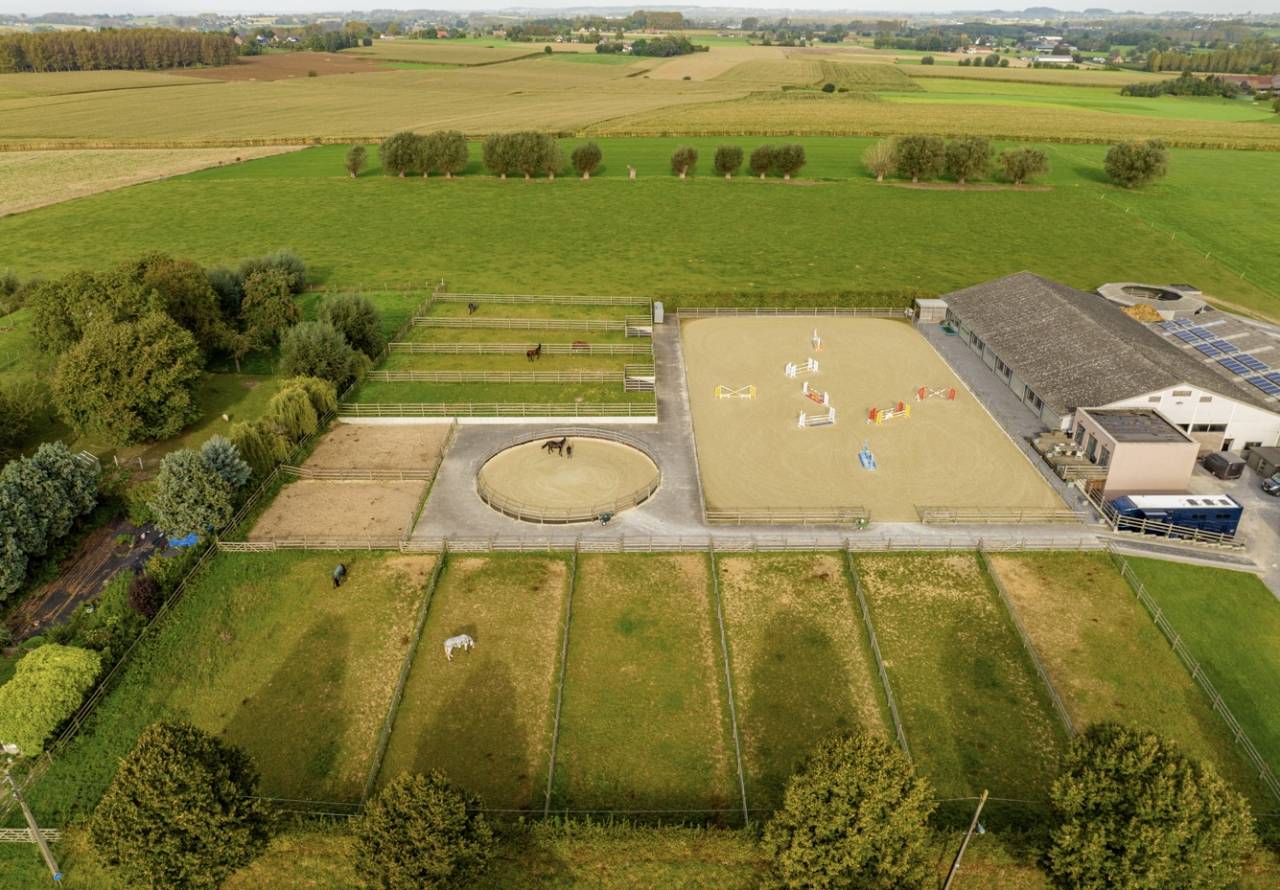 Scuderia per proprietari Noleggio Brabant-Flamand