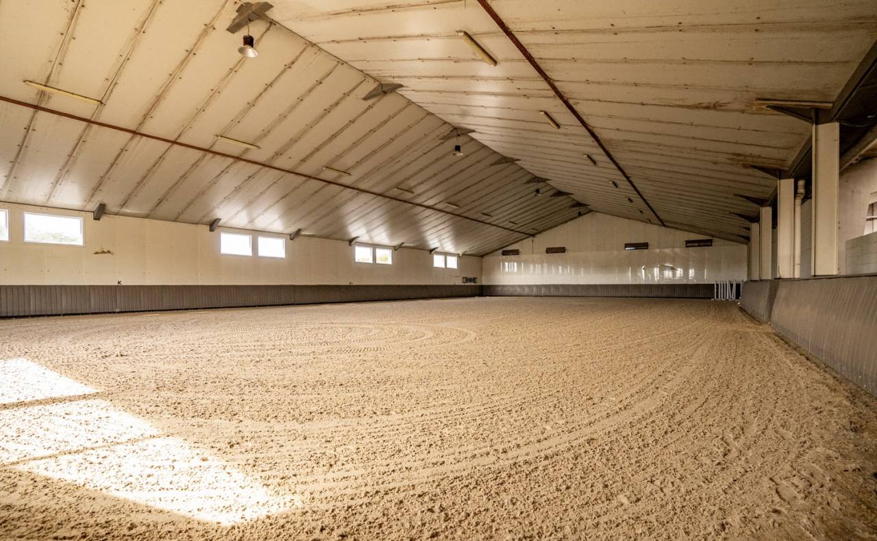 Scuderia per proprietari Noleggio Brabant-Flamand