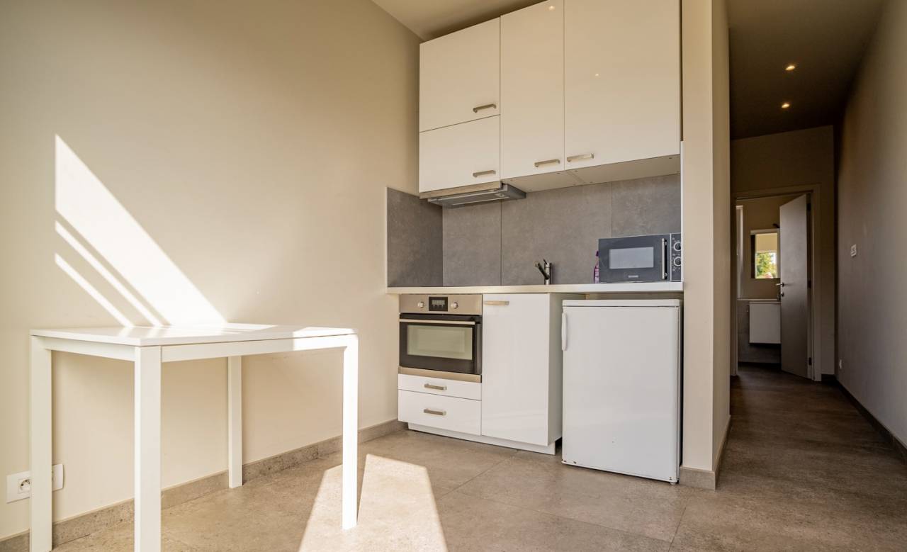 Scuderia per proprietari Noleggio Brabant-Flamand