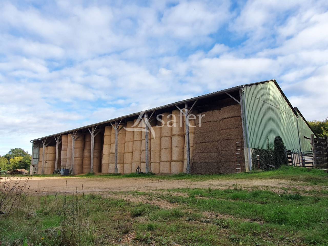 Azienda avicola In vendita Sarthe