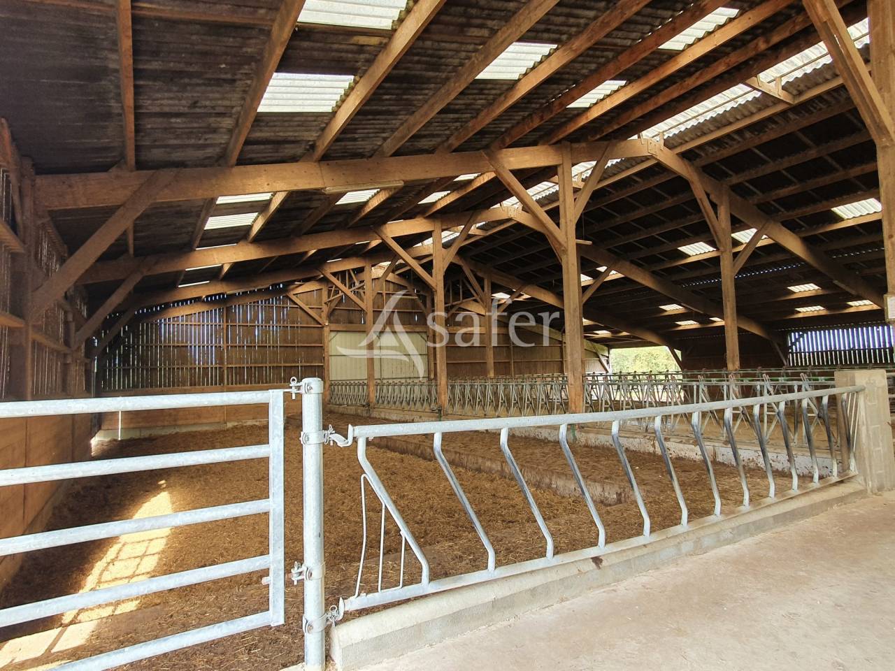 Azienda avicola In vendita Sarthe