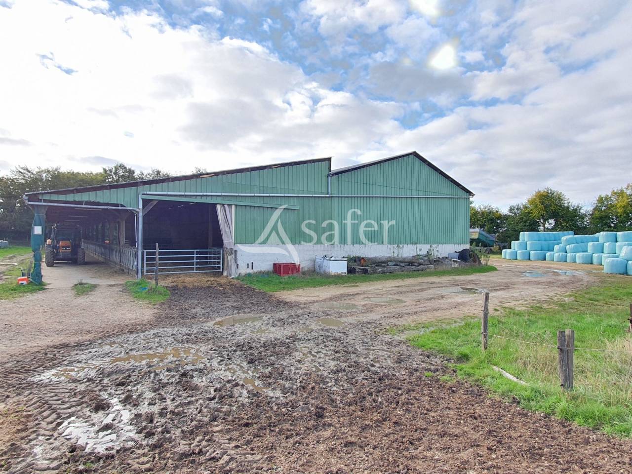 Azienda avicola In vendita Sarthe