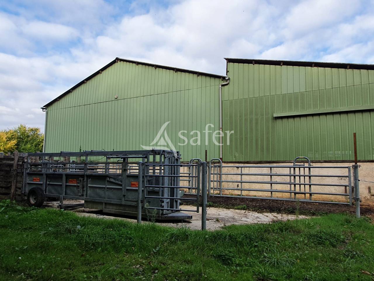 Azienda avicola In vendita Sarthe