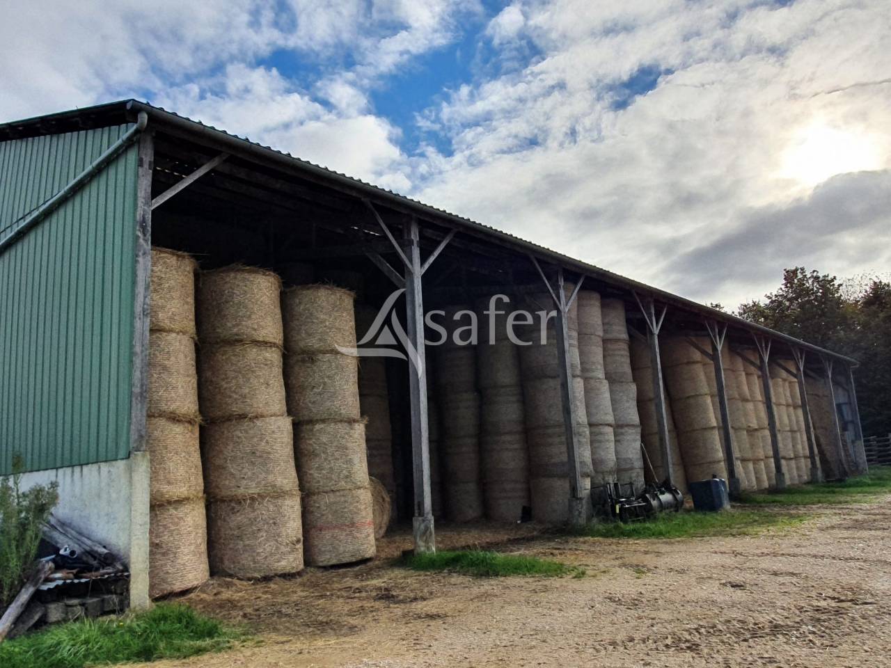 Azienda avicola In vendita Sarthe