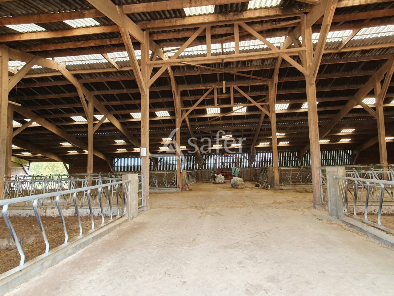 Azienda avicola In vendita Sarthe