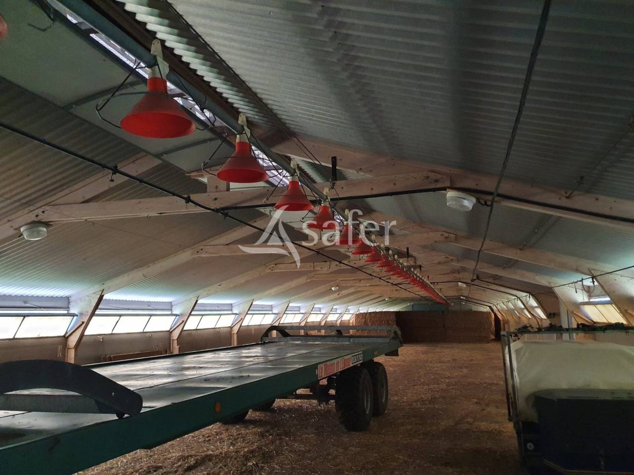 Azienda avicola In vendita Sarthe