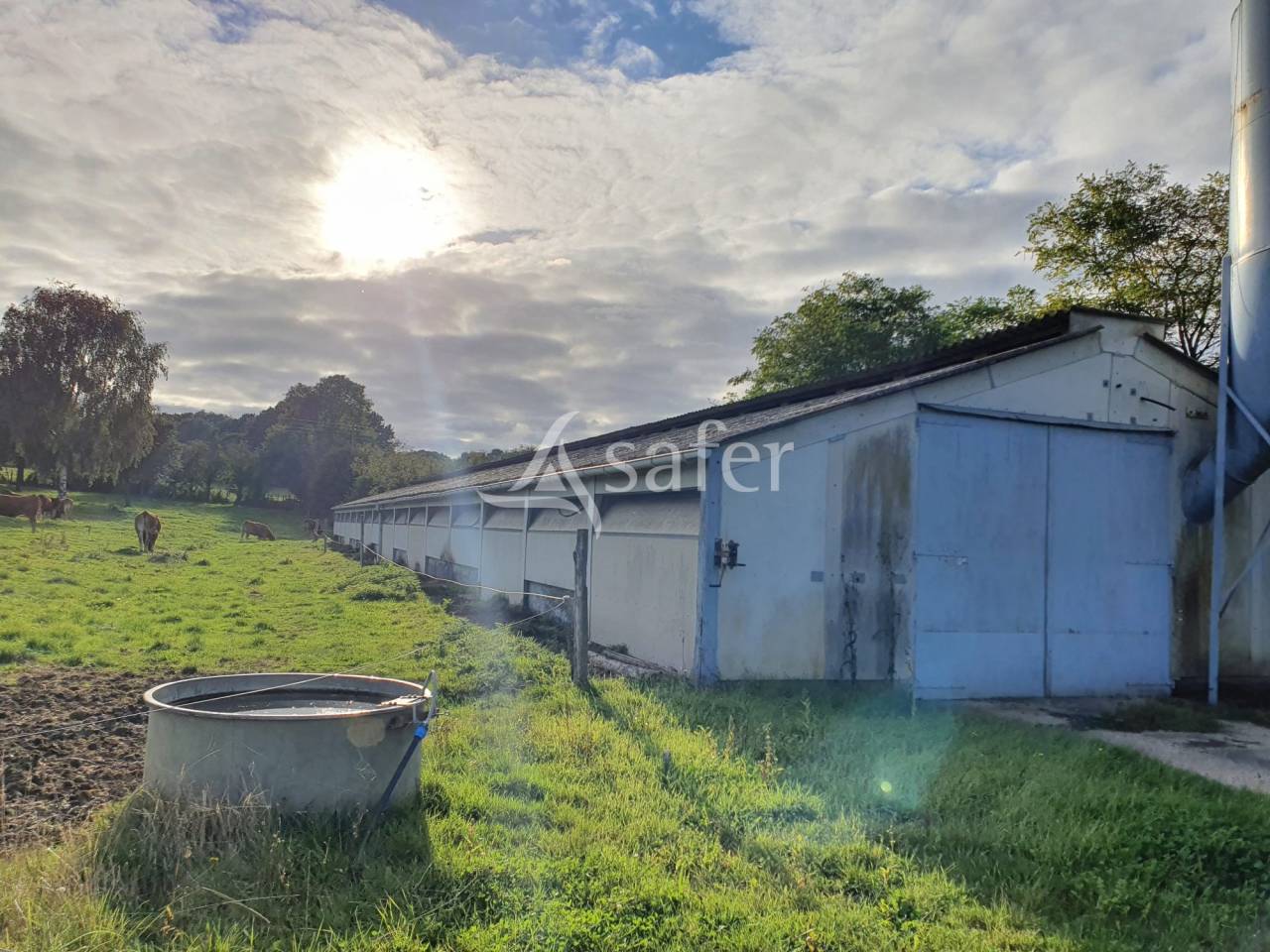 Azienda avicola In vendita Sarthe