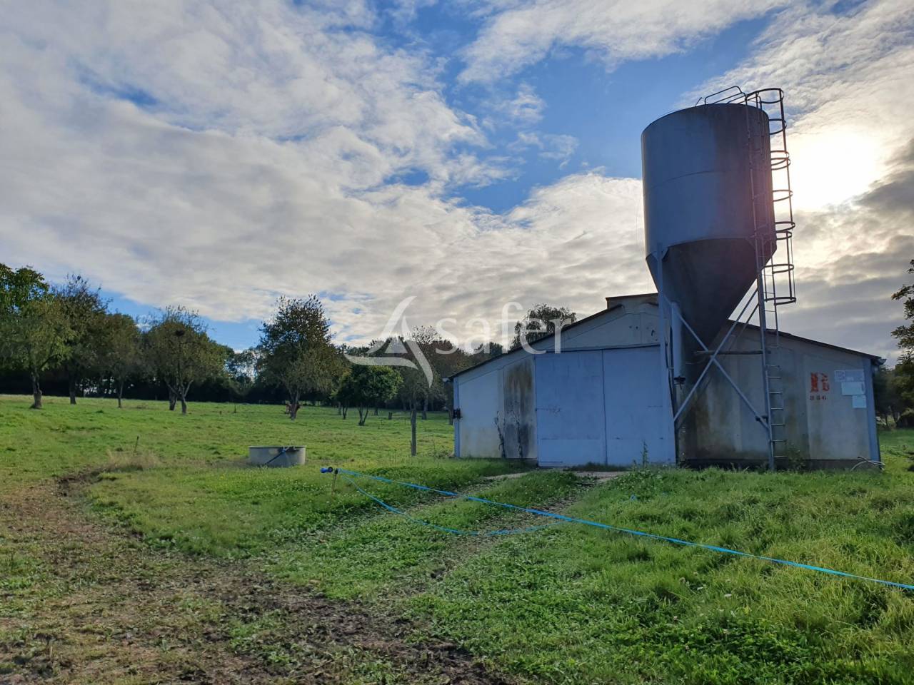 Azienda avicola In vendita Sarthe