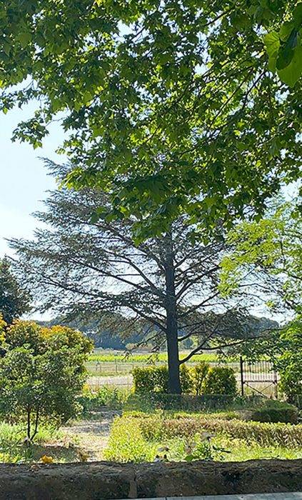 Proprietà equestre In vendita Hérault