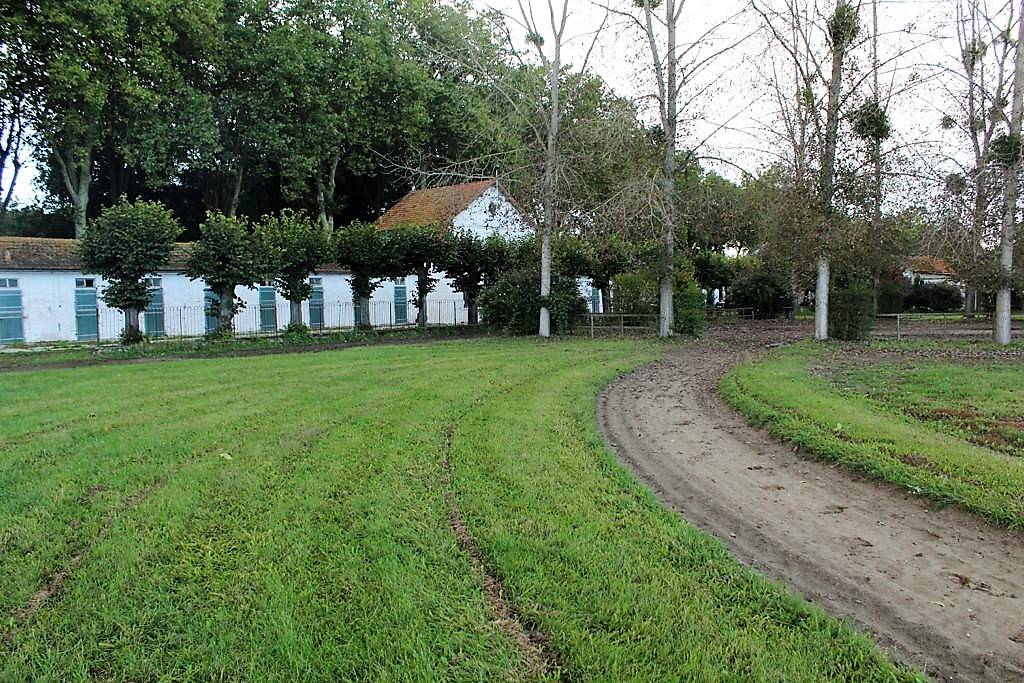 Centro di stagione cavallo In vendita Oise