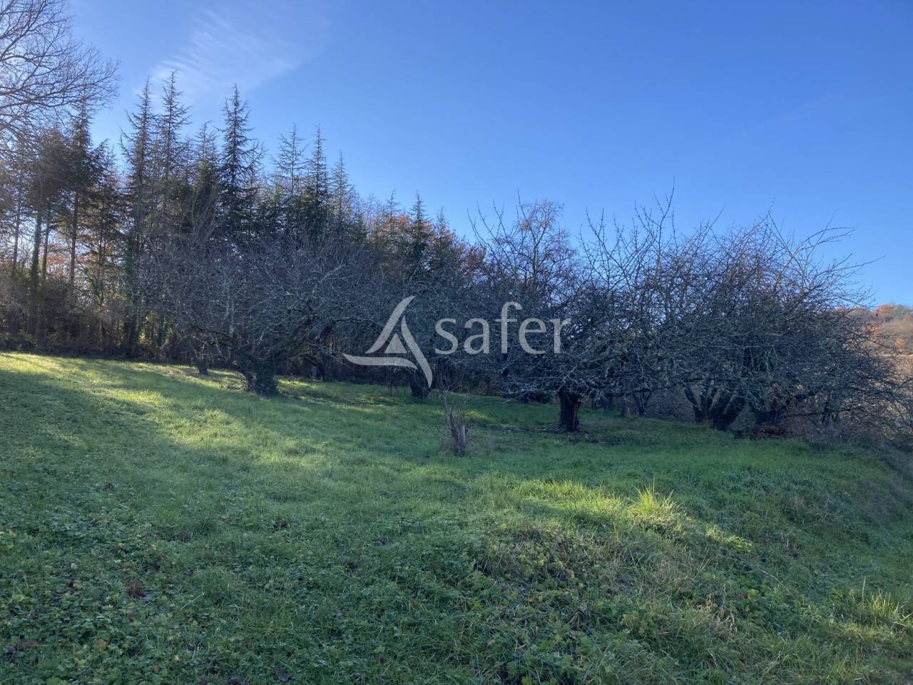 Proprietà equestre In vendita Lot-et-Garonne