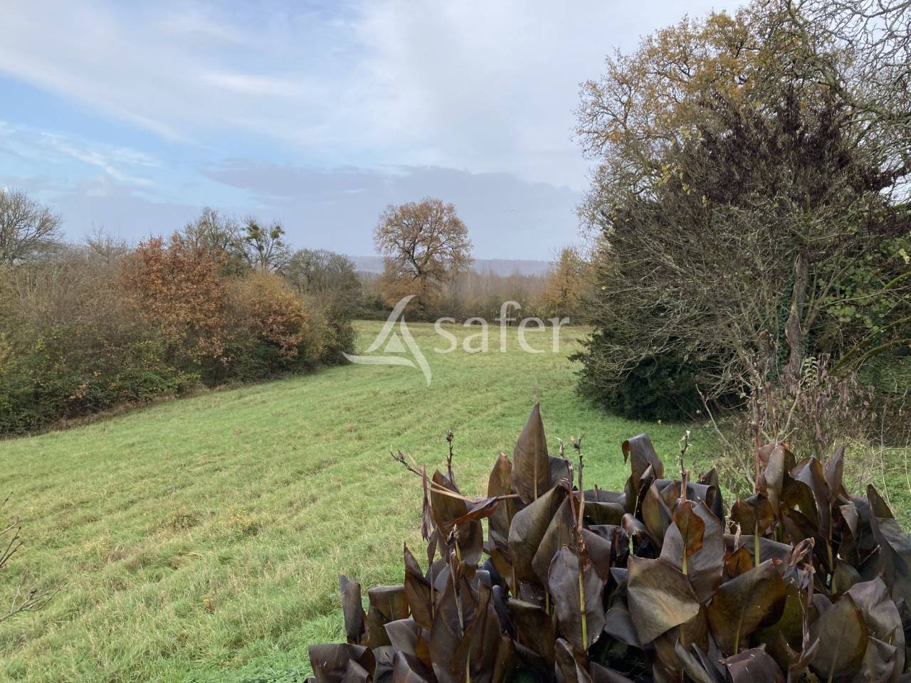 Proprietà equestre In vendita Lot-et-Garonne