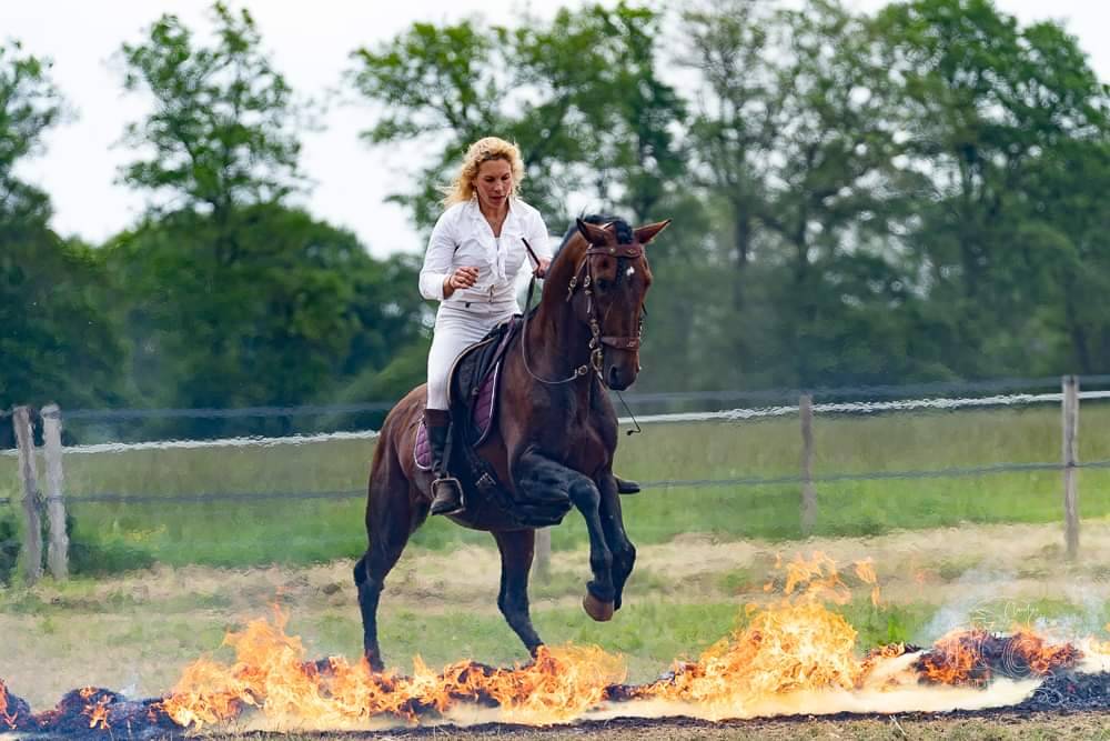 Amadeo de Ruyer - Lusitano 2010 ,  Borladero FLV