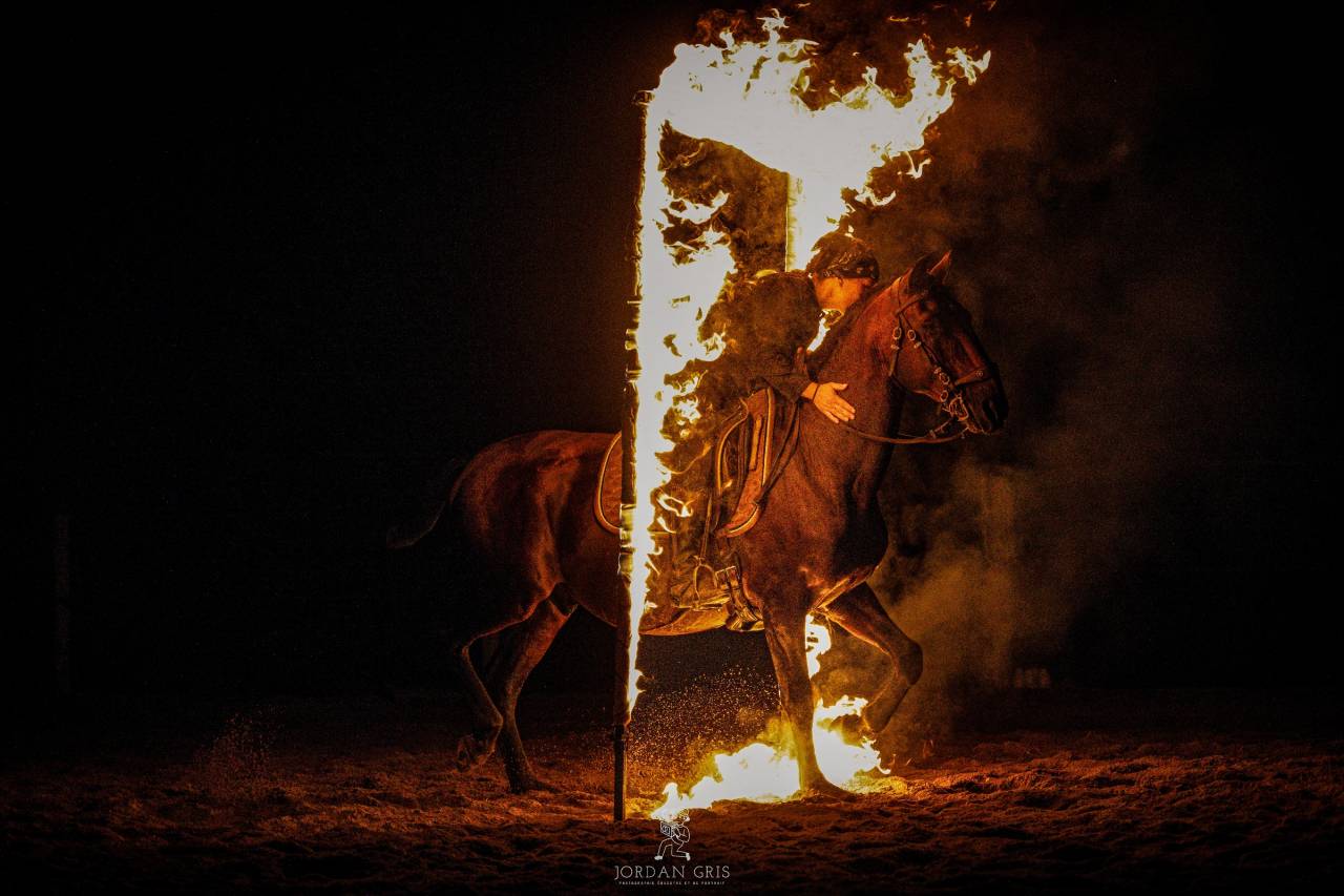 Amadeo de Ruyer - Lusitano 2010 ,  Borladero FLV