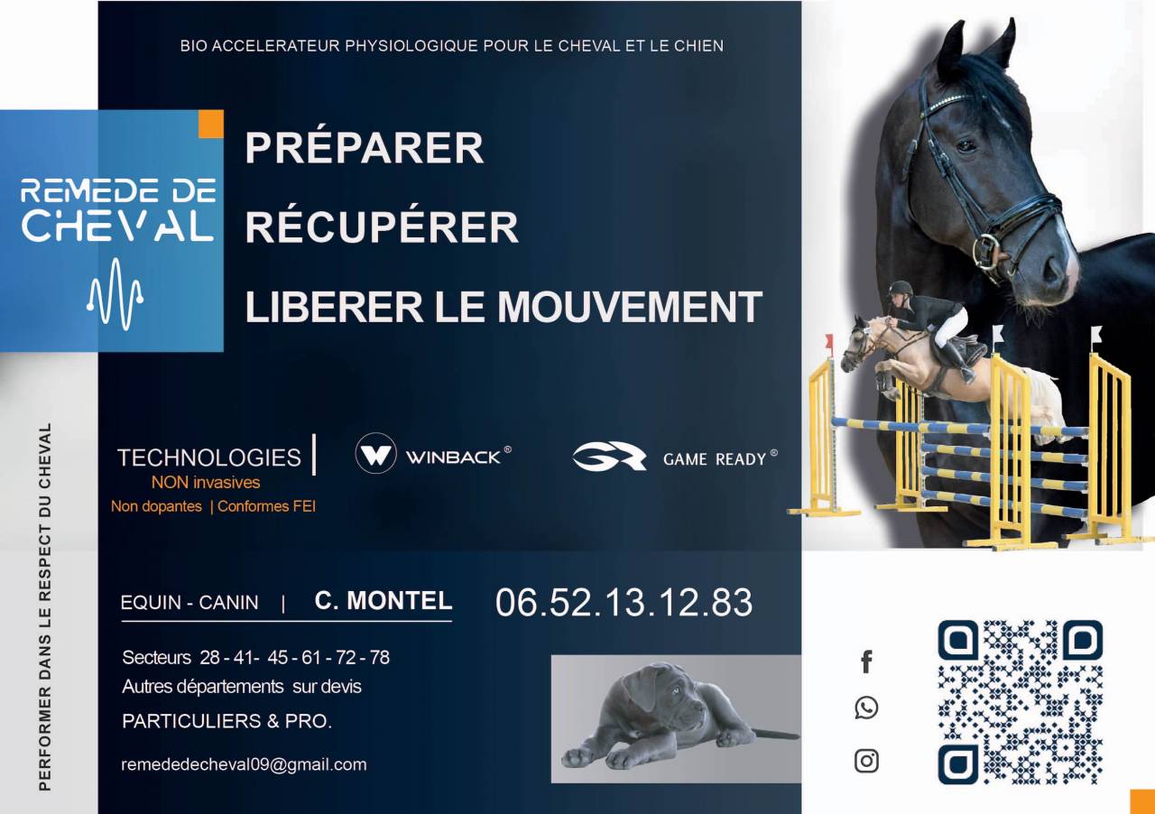 Remede de Cheval | Salute del cavallo  > Medicine alternative cavalli > Massaggio Equino