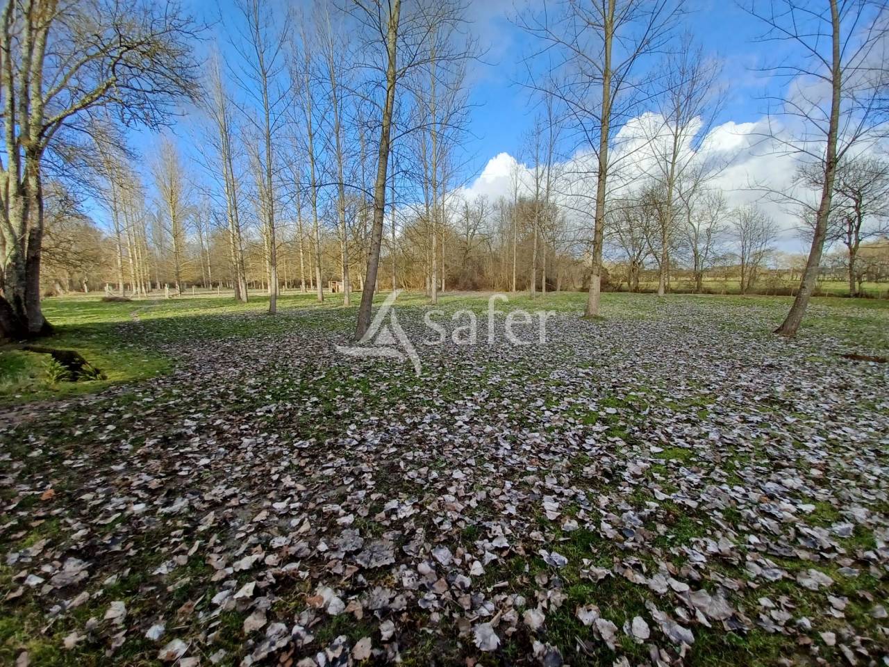 Proprietà rurale In vendita Charente