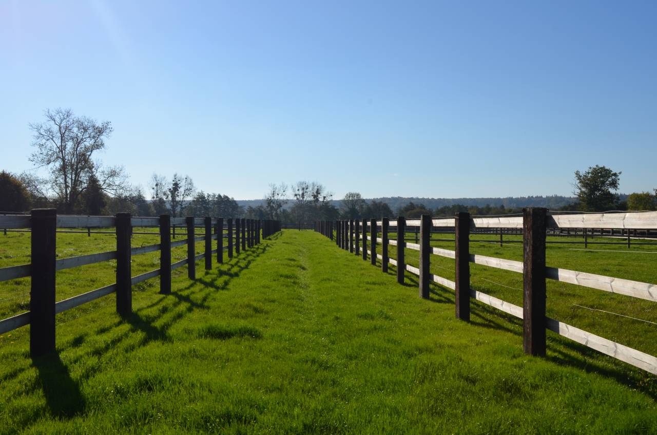 Centro di stagione cavallo In vendita Orne