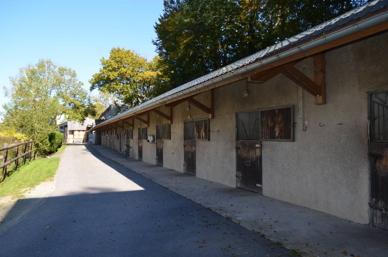 Centro di stagione cavallo In vendita Orne