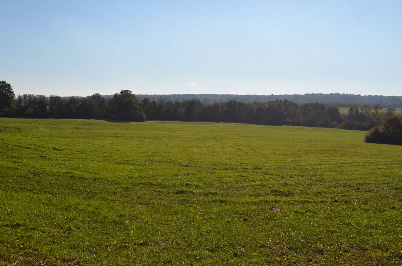 Centro di stagione cavallo In vendita Orne