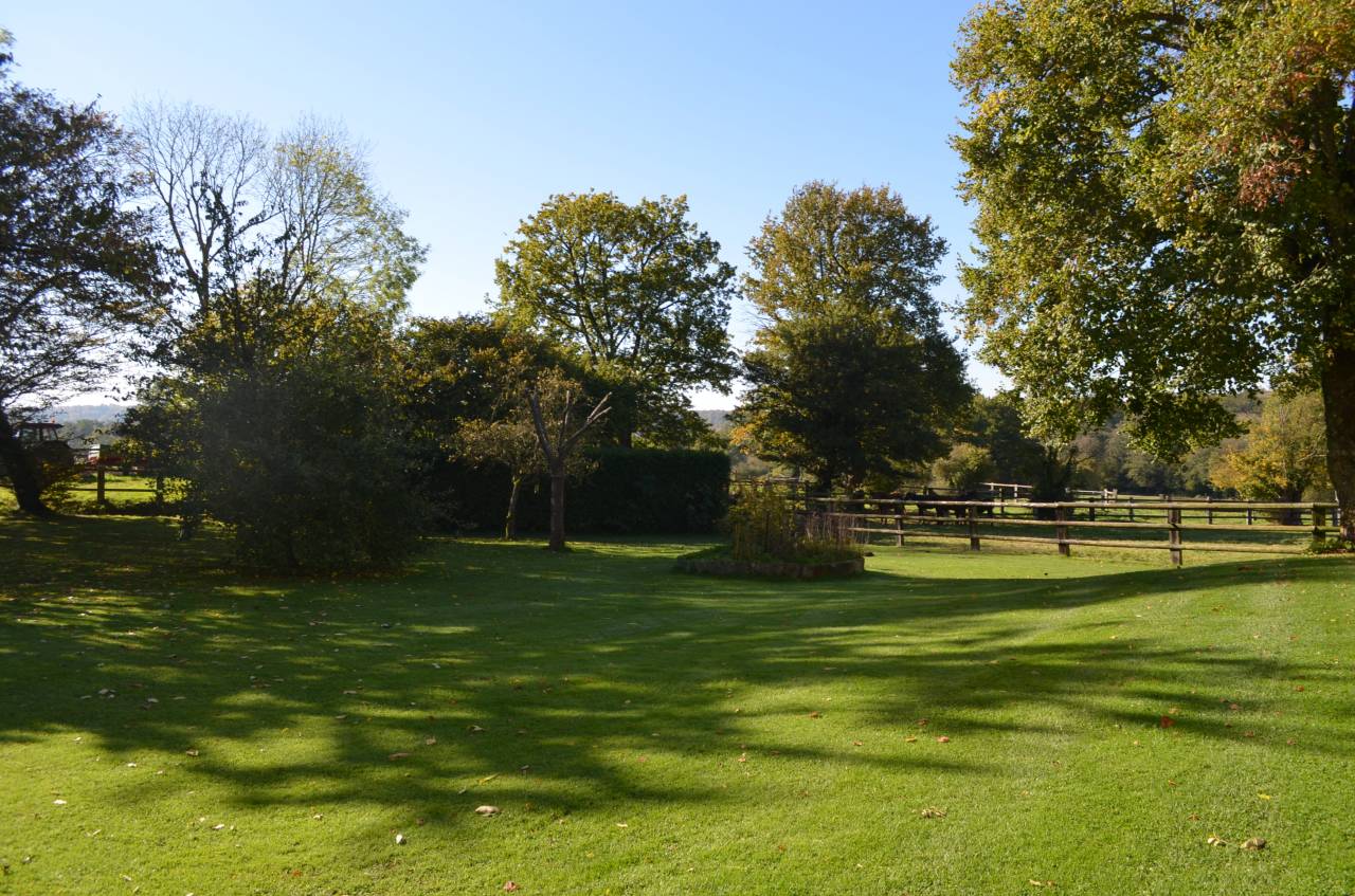 Centro di stagione cavallo In vendita Orne