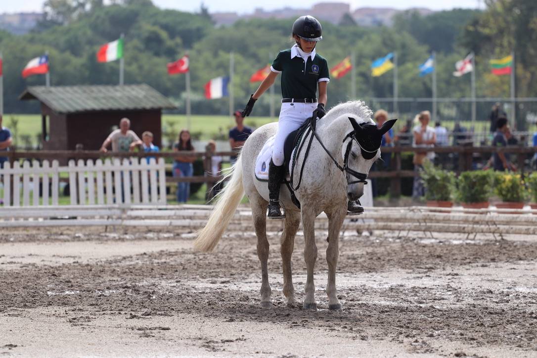 LAPSUS DE L'OCQ - New Forest 1999 ,  WILLOWAY GOOD AS GOLD (GB)