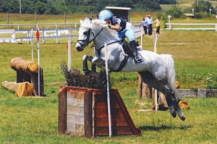 LAPSUS DE L'OCQ - New Forest 1999 ,  WILLOWAY GOOD AS GOLD (GB)