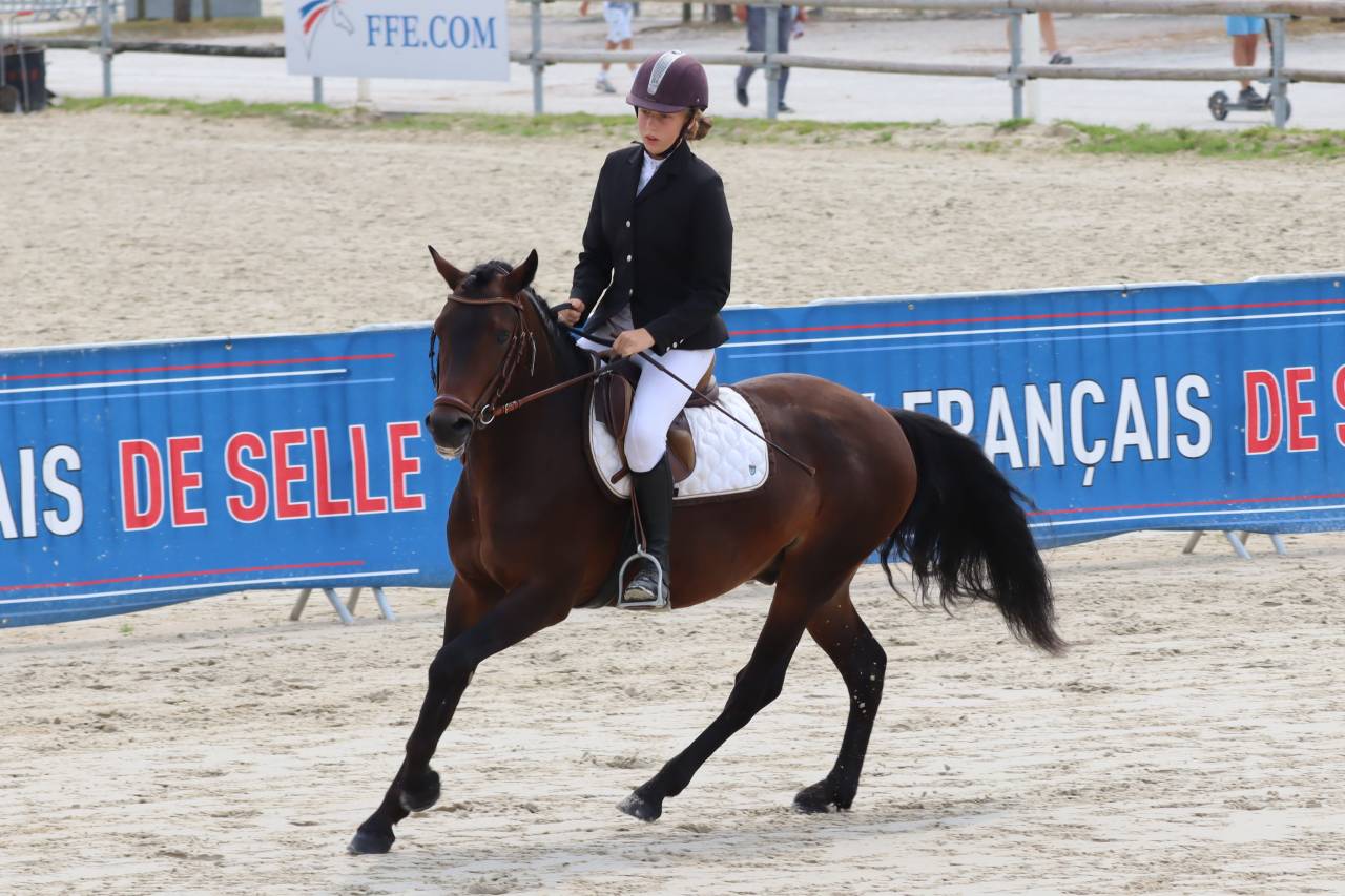 Illico d’Arden - New Forest 2018 ,  BERLIOZ DE GASCOGNE