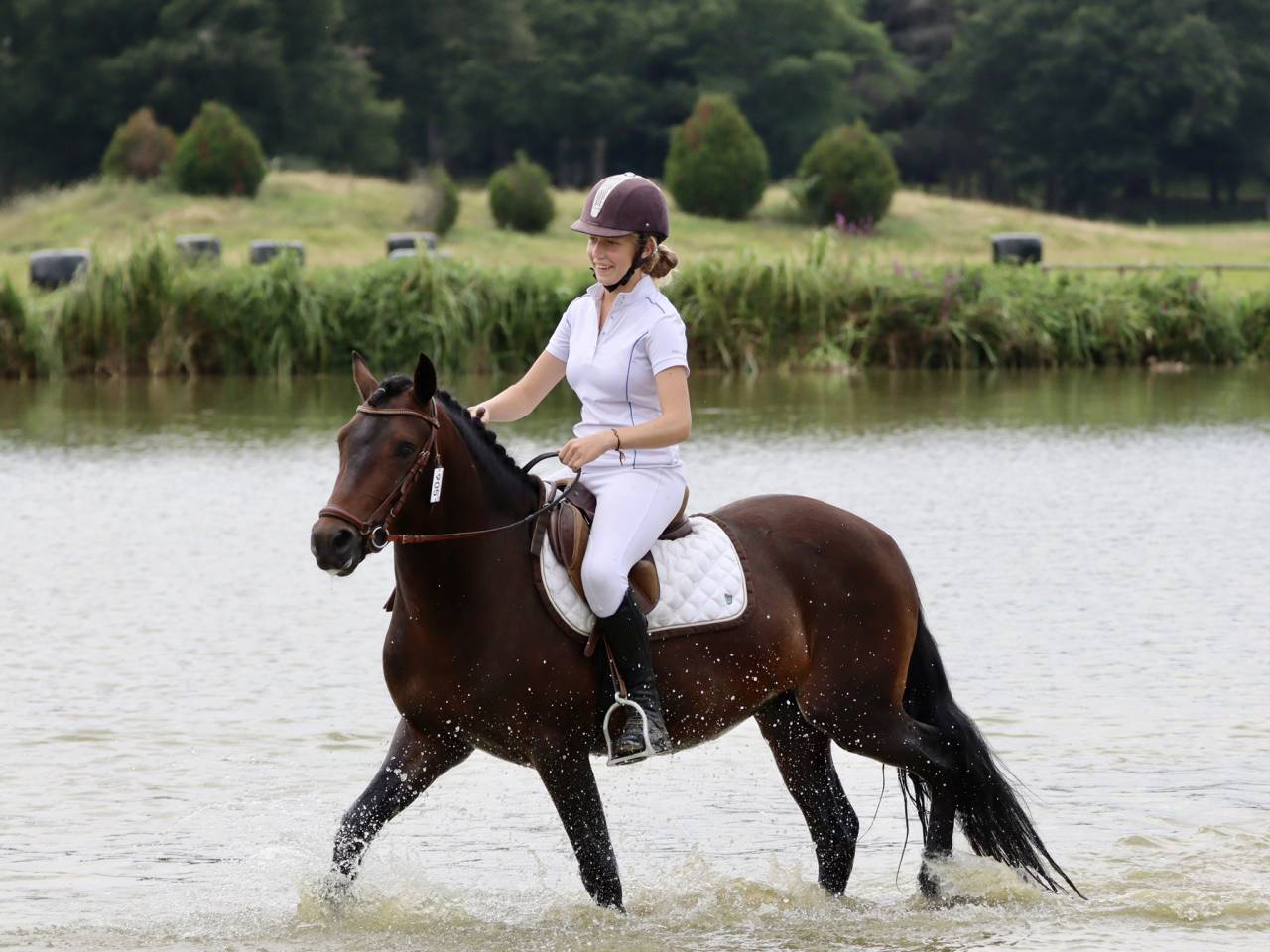 Illico d’Arden - New Forest 2018 ,  BERLIOZ DE GASCOGNE