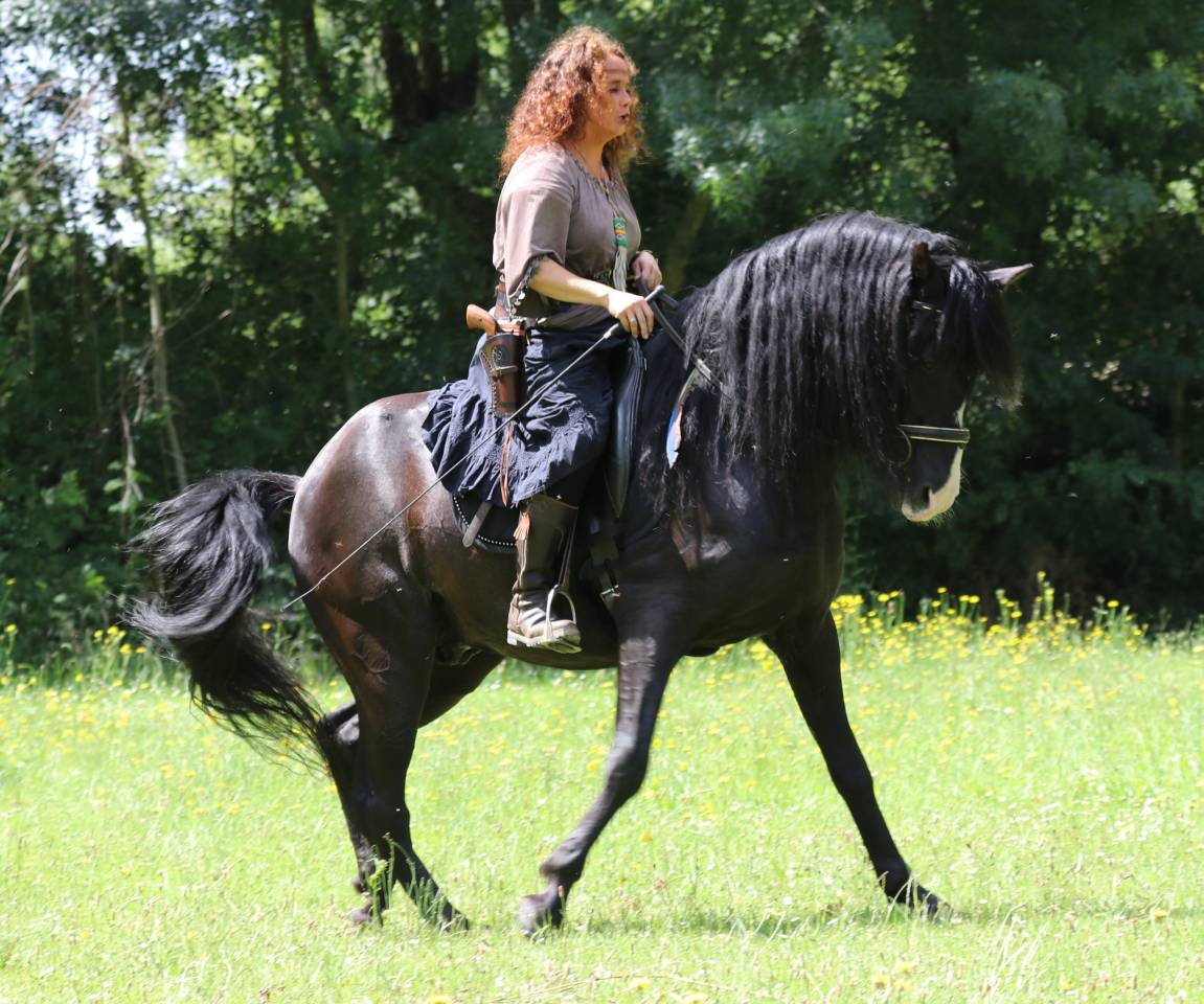 PUNTEADO II - PRE Andaluso 2004 ,  Gereno II