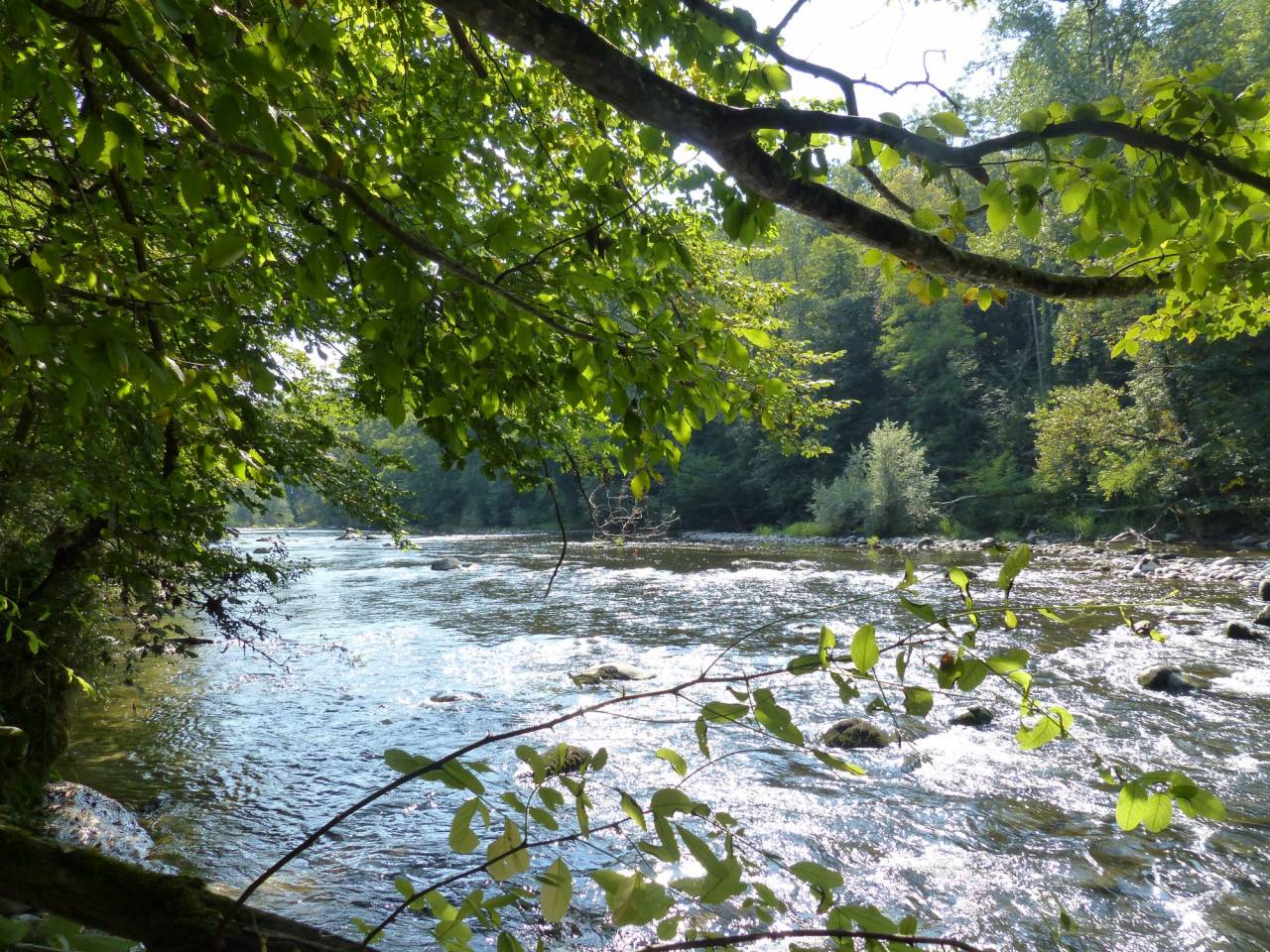 Proprietà equestre In vendita Haute-Savoie
