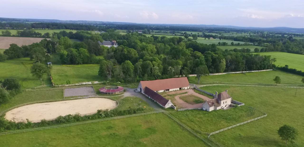 Centro di stagione cavallo In vendita Allier