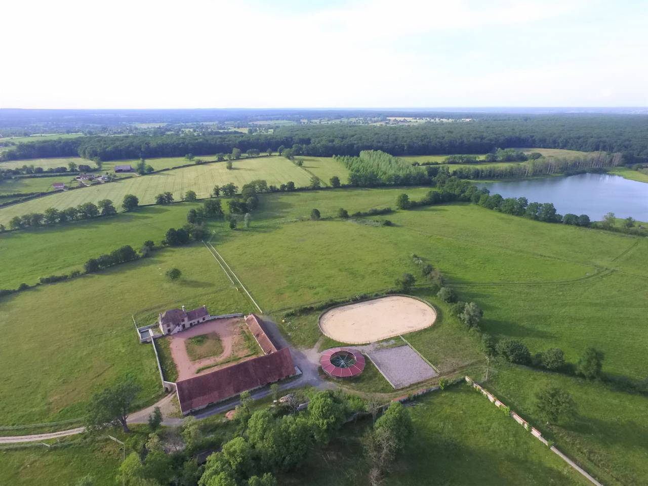 Centro di stagione cavallo In vendita Allier