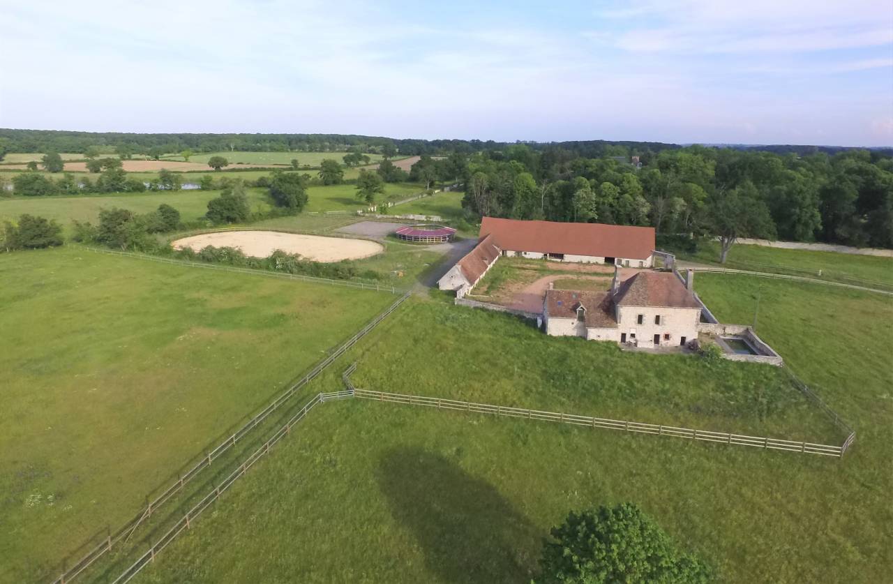 Centro di stagione cavallo In vendita Allier