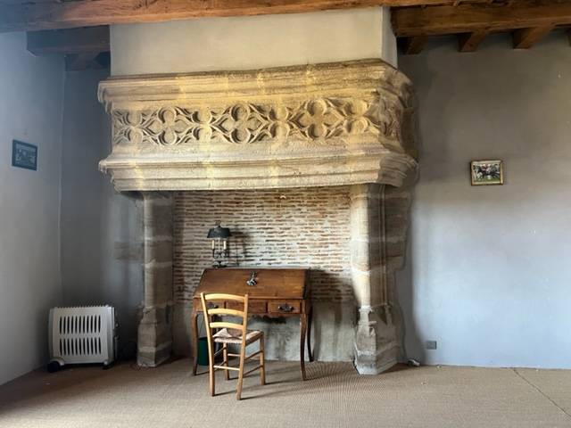 Centro di stagione cavallo In vendita Allier