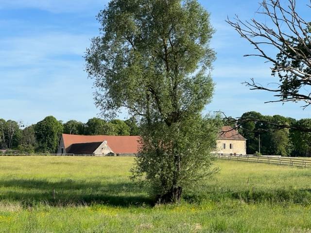 Centro di stagione cavallo In vendita Allier