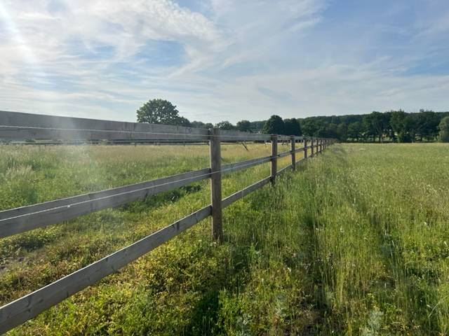 Centro di stagione cavallo In vendita Allier