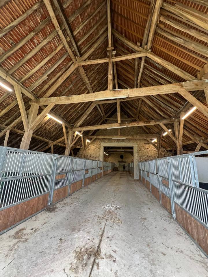 Centro di stagione cavallo In vendita Allier