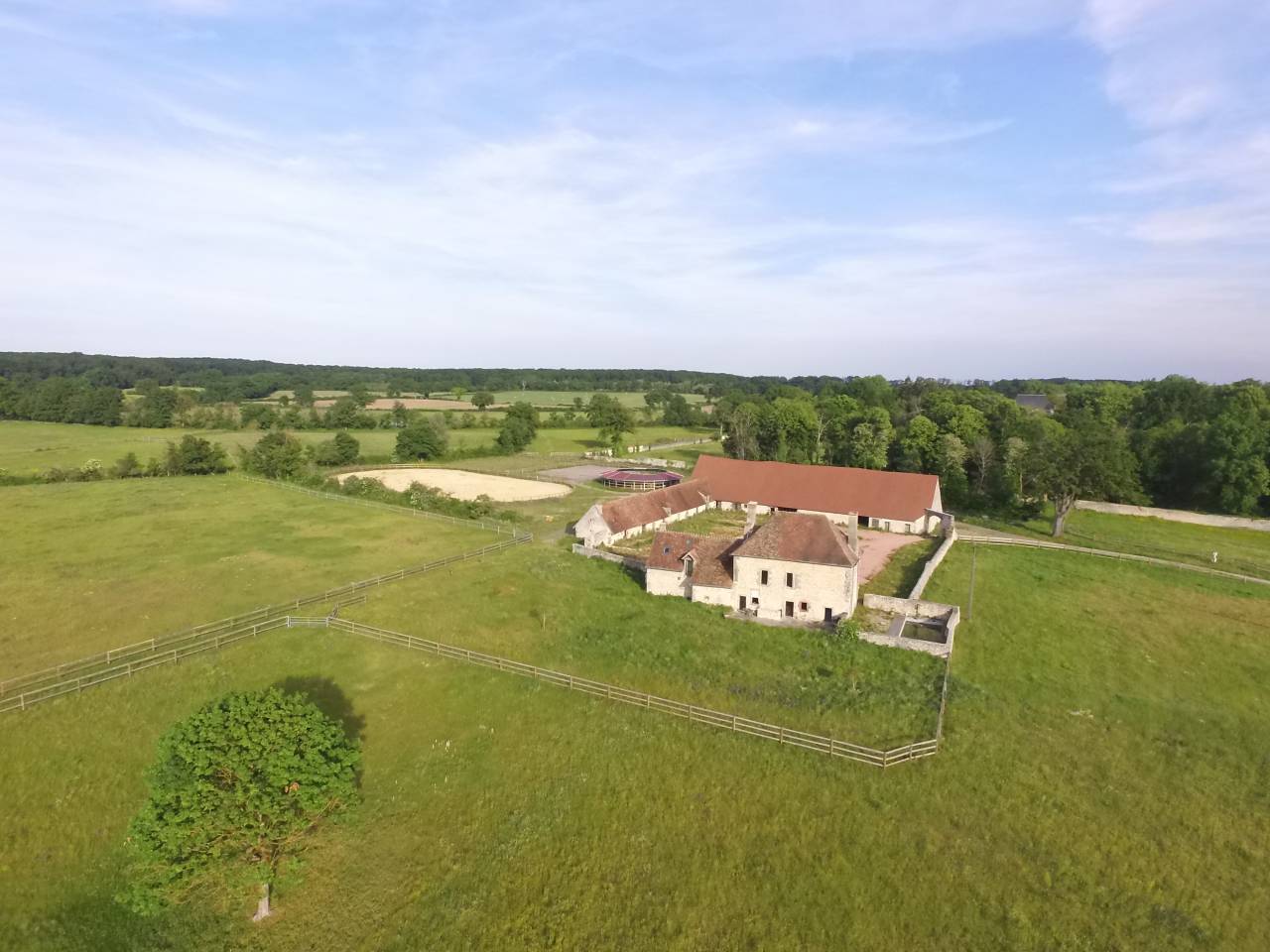 Centro di stagione cavallo In vendita Allier