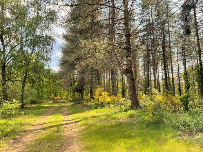 Proprietà equestre In vendita Loir-et-Cher