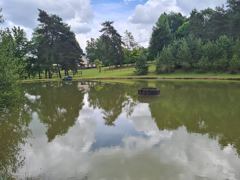 Bella dimora equestre In vendita Corrèze