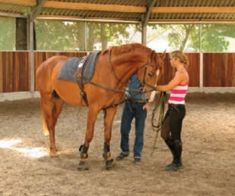 Bella dimora equestre In vendita Corr&egrave;ze