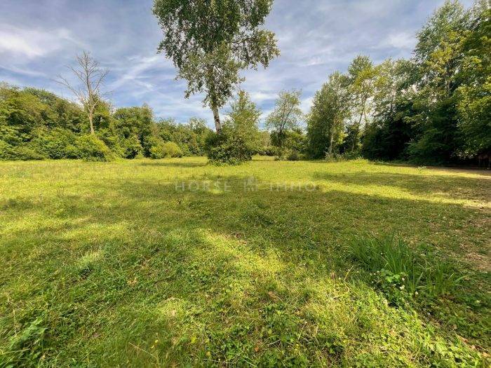 Proprietà equestre In vendita Seine-et-Marne