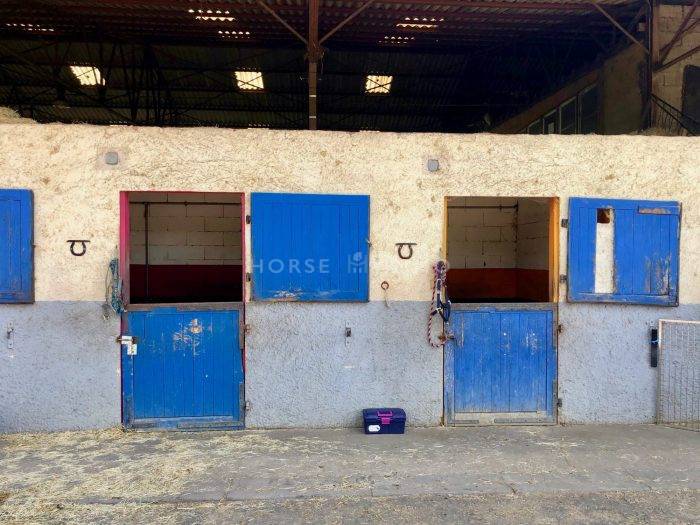 Proprietà equestre In vendita Loire