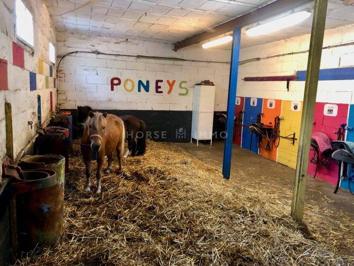 Proprietà equestre In vendita Loire